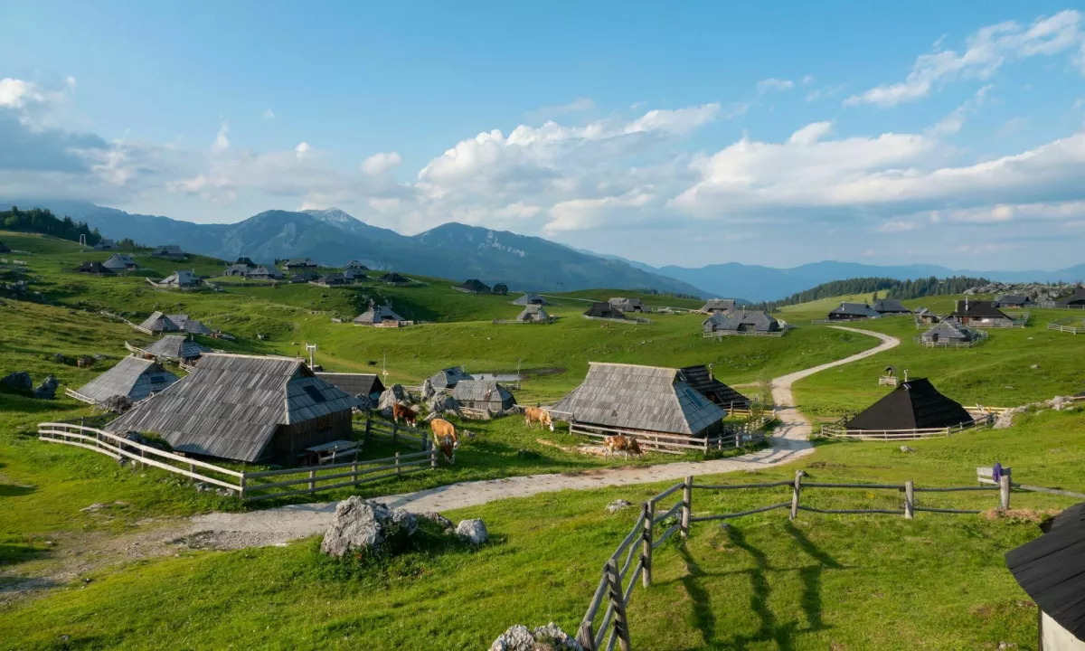 Velika planina, ki je vizionar ni želel: jacuzziji in savne namesto prvinske narave