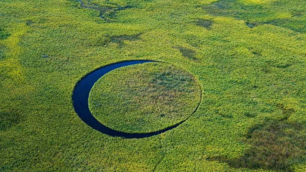 el ojo, argentina