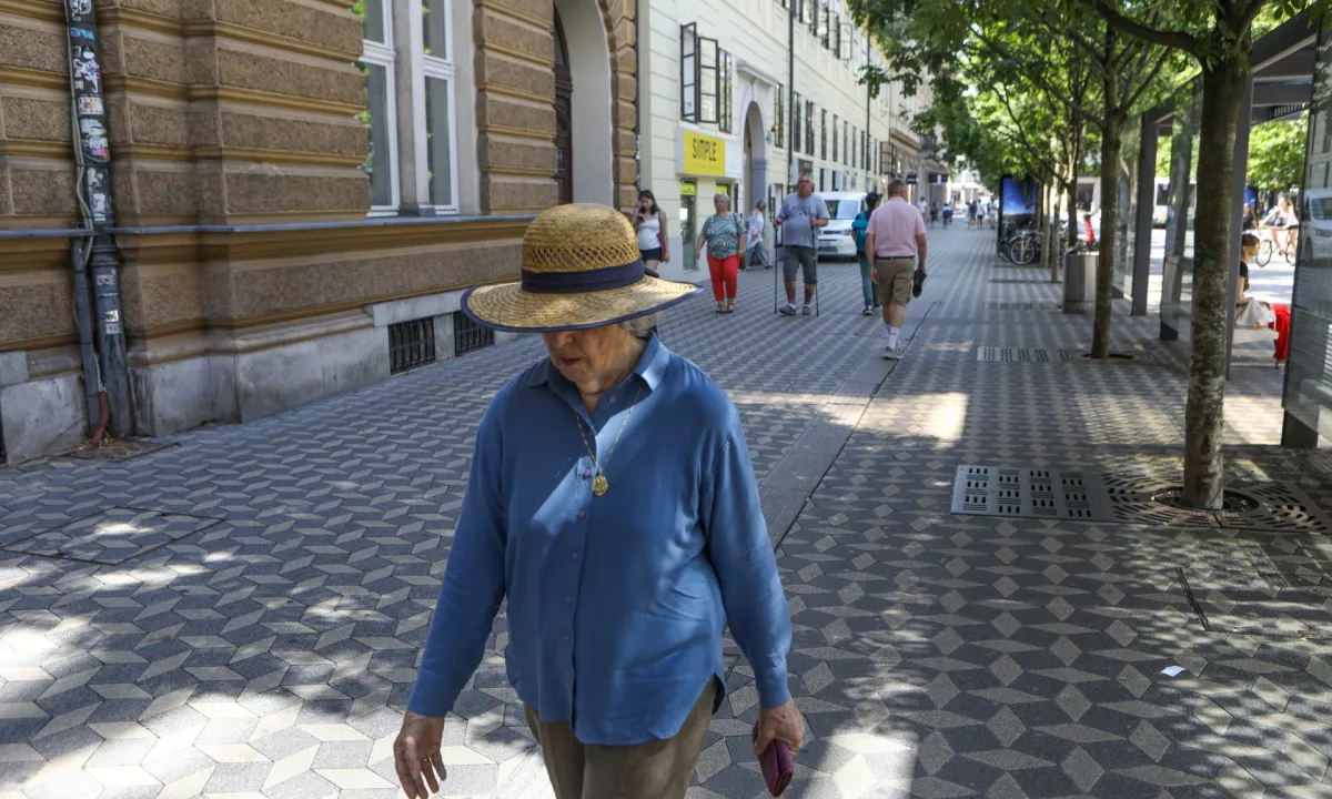 »Vročinski valovi bodo vse pogostejši in intenzivnejši«