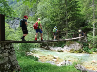 Zakaj je lymska borelioza letos tako pogosta?