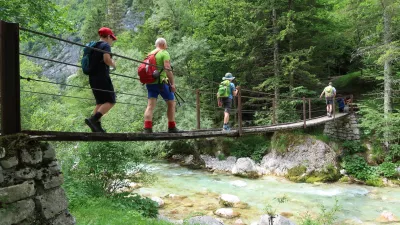 Zakaj je lymska borelioza letos tako pogosta?