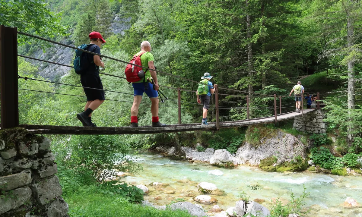 Zakaj je lymska borelioza letos tako pogosta?