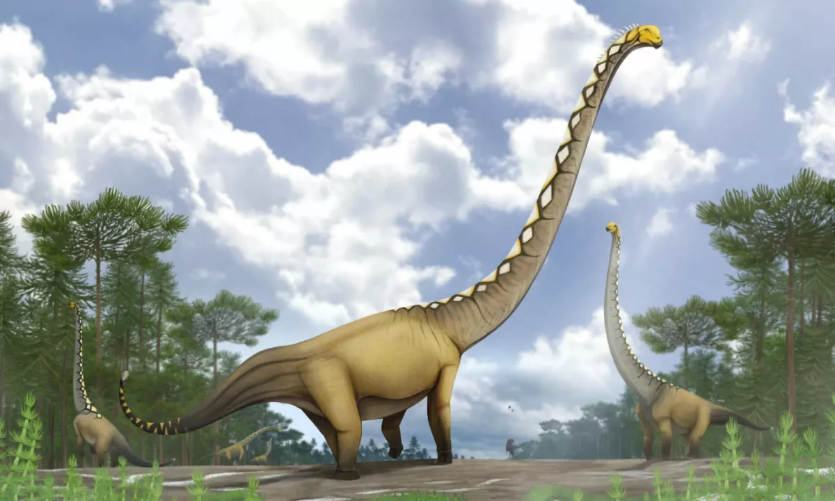 Odkrili 20-metrskega dinozavra: znanstvenik od navdušenja razbil tipkovnico