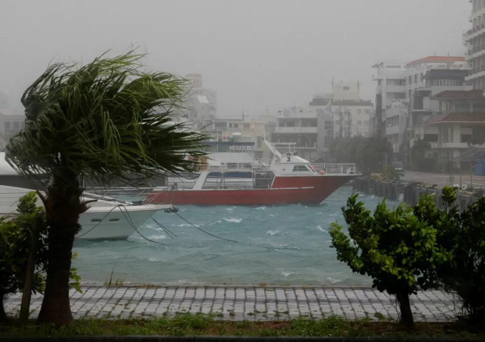 Strong wind rattles trees at a port as Typhoon Bavi passes through, in Ishigaki, Japan, July 11, 2026. REUTERS/Kim Kyung-Hoon   TPX IMAGES OF THE DAY
