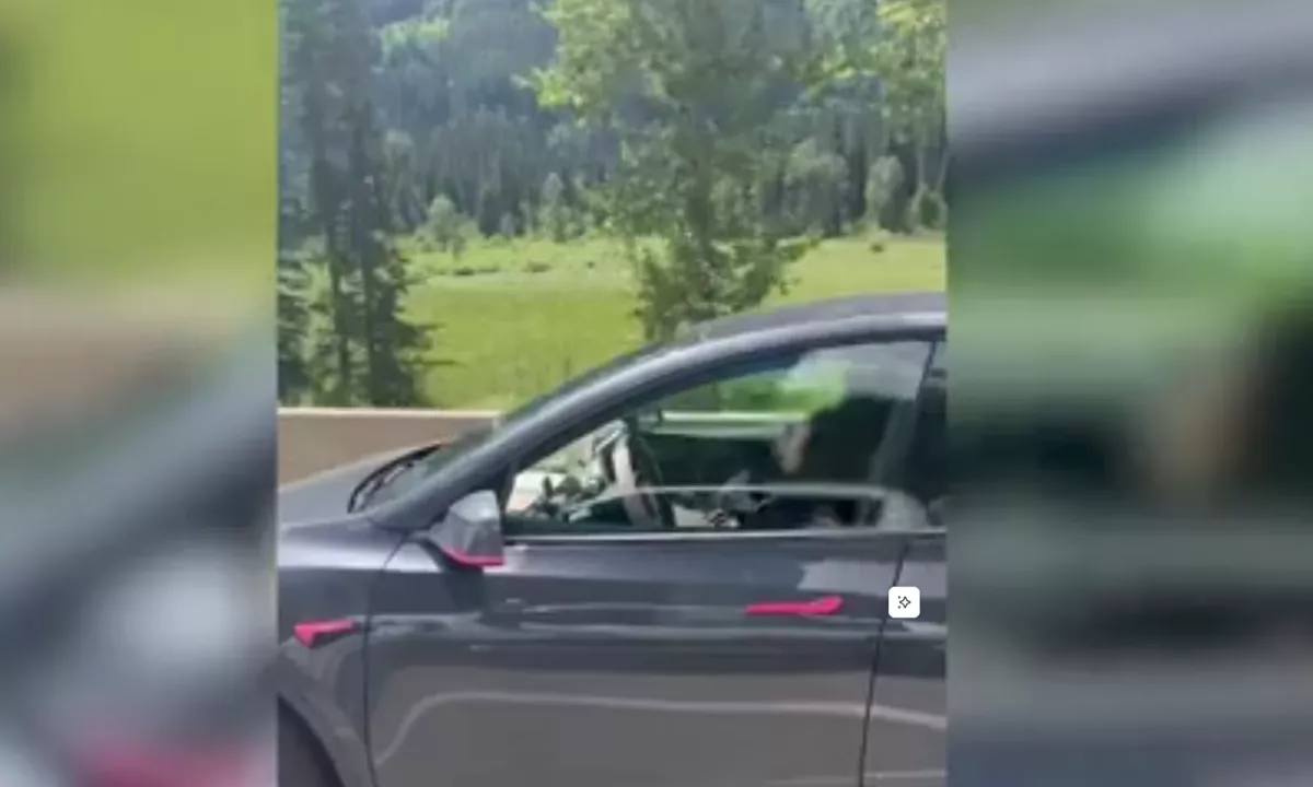 (VIDEO) V tesli spala pri hitrosti 100 km/h, zadaj pa dva majhna otroka
