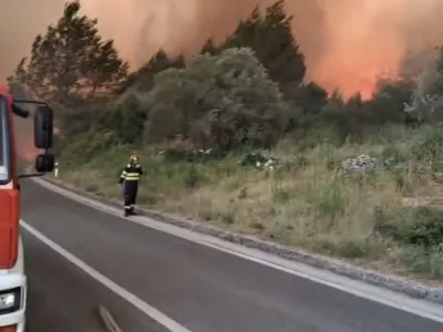 Foto: zajem zaslona yt