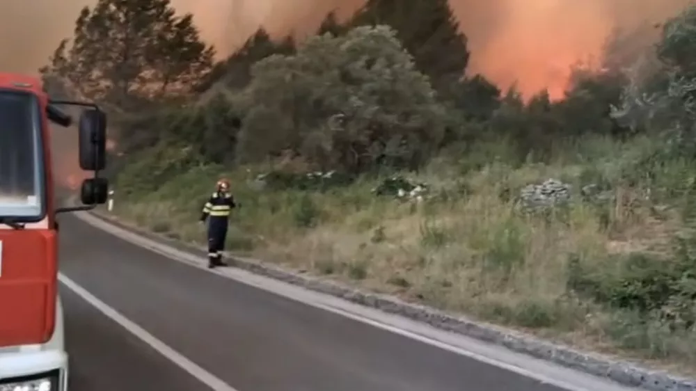 Foto: zajem zaslona yt