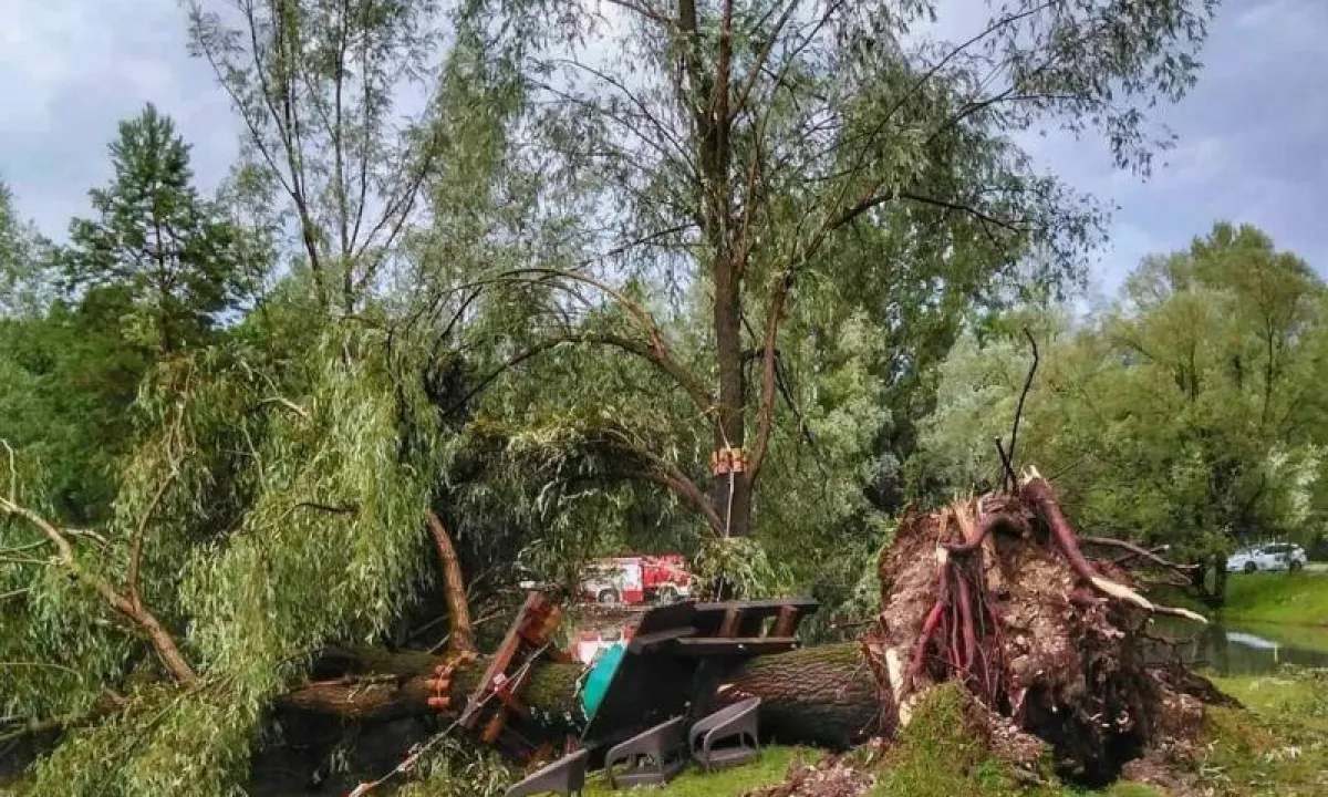 Na šotor padlo drevo v Črnomlju poškodovalo dve osebi