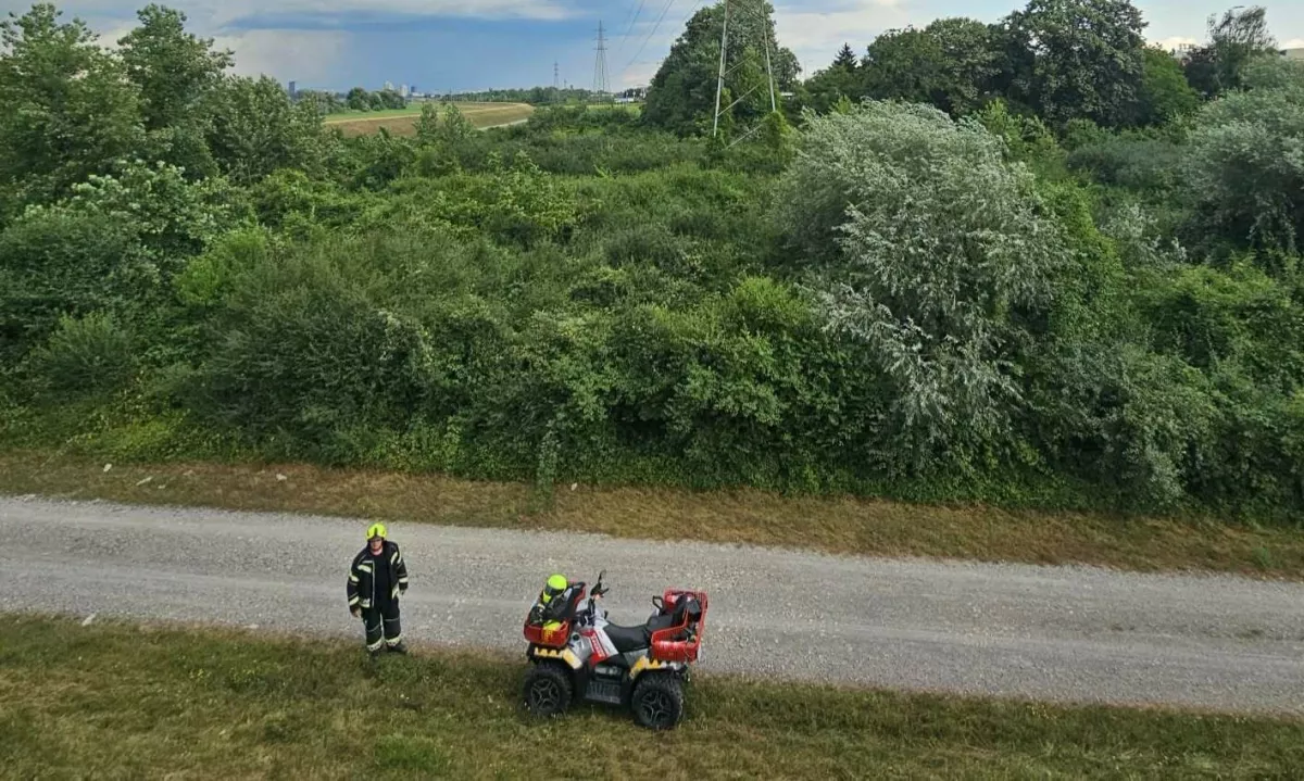 Med iskanjem mačke se je izgubil v grmovju, gasilci so ga komaj našli