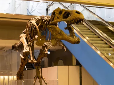 Tiranozavrovo okostje, ki je razstavljeno na letali&scaron;ču v Pittsburgh v ZDA. / Foto: Istock