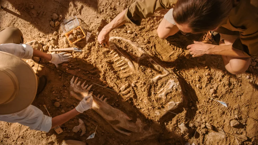 Paleontologi med delom. Tak&scaron;na izkopavanja so precej zahtevna ter zaradi vročine in okoli&scaron;čin tudi nevarna. / Foto: Istock