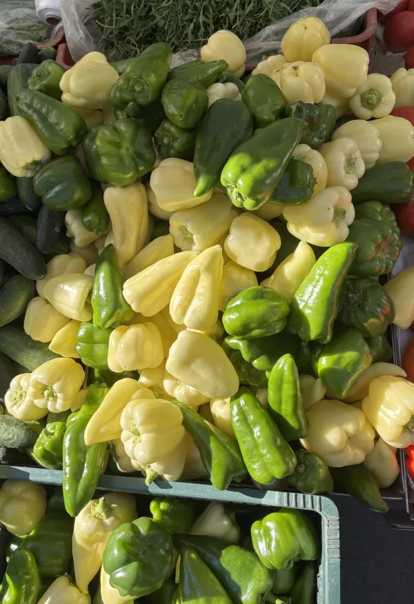 Paprika, centralna tržnica