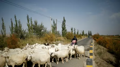 FILE PHOTO: Lv Tusong, 45, herds his sheep on a scooter in a village near the edge of the Gobi desert on the outskirts of Yumen, Gansu province, China, September 29, 2020. Farmers pay authorities for use of water from Qilian supplied either through open ditches or covered wells. "You pay for two inches worth of water but you only get one inch's worth," said Lv who has over 90 mu of land in the north of Yumen city. REUTERS/Carlos Garcia Rawlins   SEARCH "RAWLINS GLACIER" FOR THIS STORY. SEARCH "WIDER IMAGE" FOR ALL STORIES./File Photo