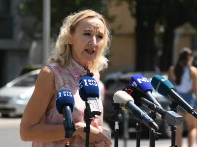 Dnevnikova analiza: Kako bi Resnica ubrala bližnjico do čistih zasebnikov v javnem zdravstvu