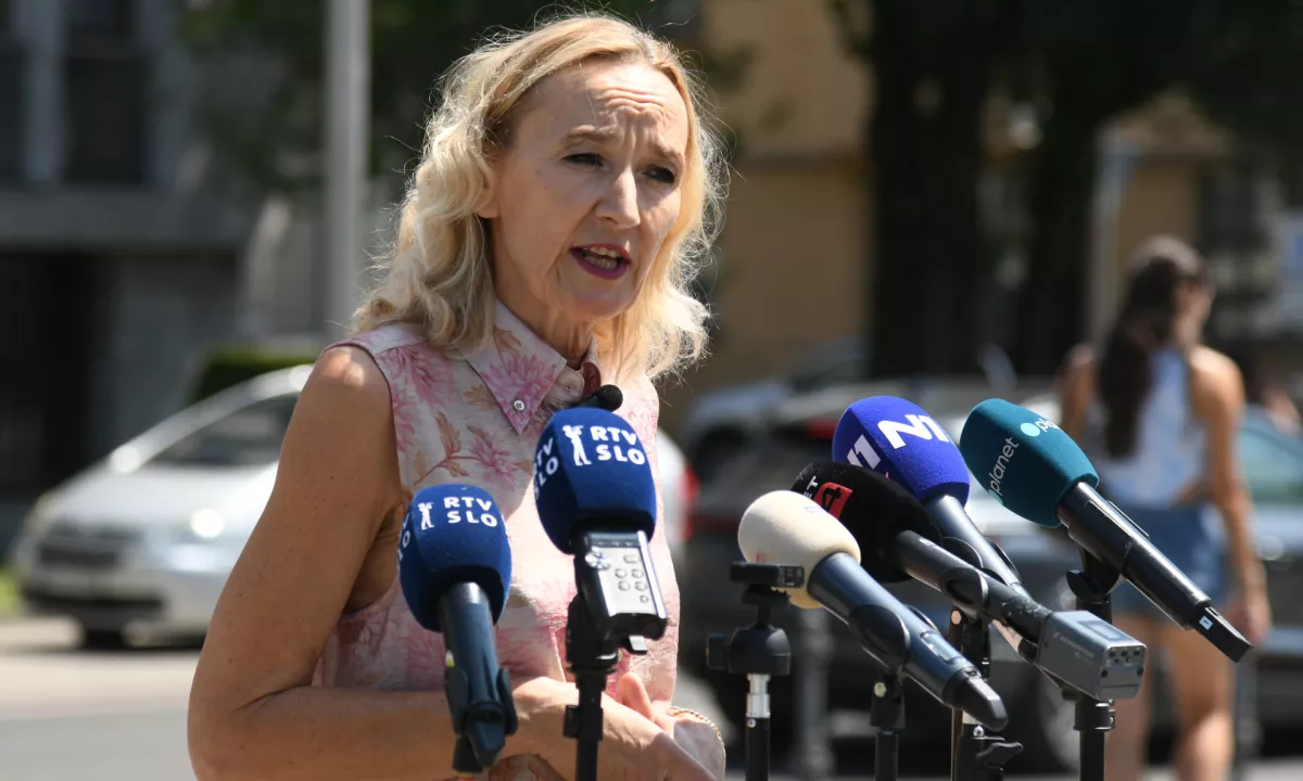 Dnevnikova analiza: Kako bi Resnica ubrala bližnjico do čistih zasebnikov v javnem zdravstvu