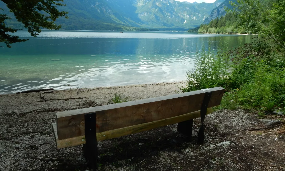 Previdno pri kopanju v Bohinjskem jezeru: v gošči zaznali potencialno nevarne cianobakterije