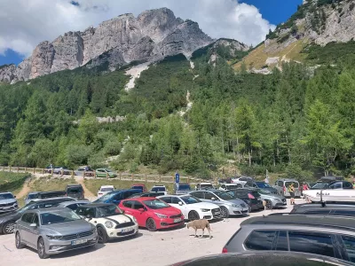 Kaj se dogaja na najvi&scaron;jem prelazu v državi? Promet usmerjajo policisti, reditelji in ovce