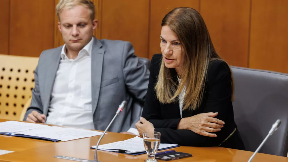 Ljubljana, DZ.Seja odbora DZ za finance, na kateri so obravnavali predloge o spremembah novel zakonov o mnozicnem vrednotenju nepremicnin, o bonitetnem nadzoru investicijskih podjetij in o preprecevanju pranja denarja in financiranja terorizma.