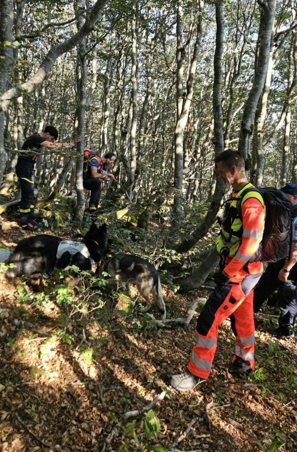 Pogre&scaron;anega mo&scaron;kega so po Snežniku iskali policisti, gasilci, gorski re&scaron;evalci &hellip;