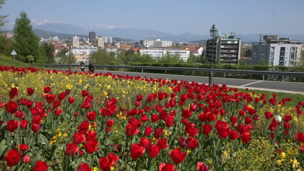 12.04.2024 - simbolična fotografija Ljubljana - panorama - vizija Ljubljane 2045Foto: Luka Cjuha