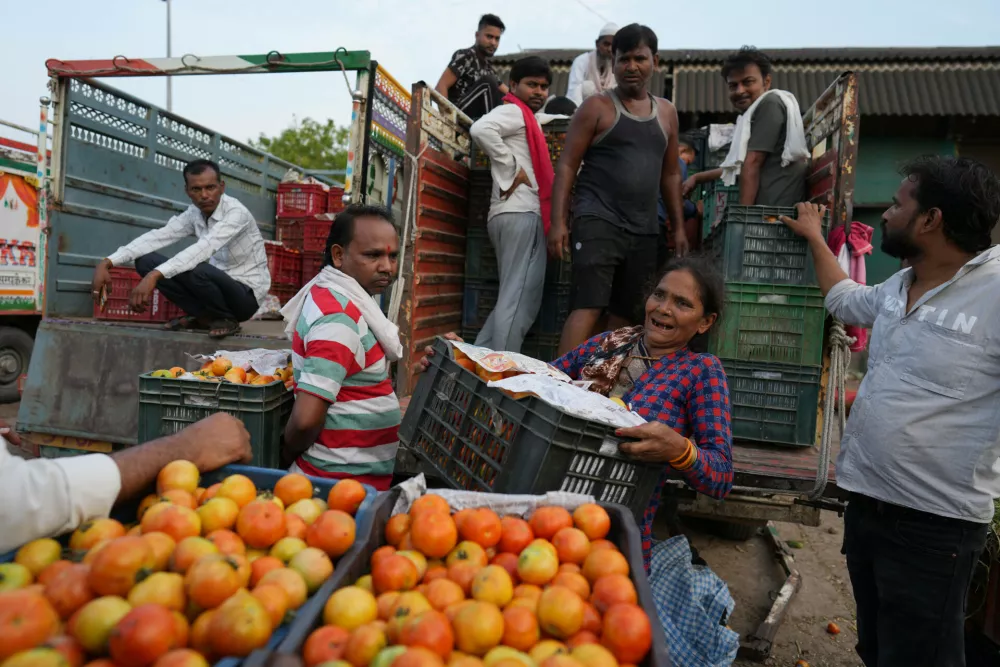 Munni Devi unloads tomatoes from a truck at a vegetable market in the early morning during a heat wave in Banda, northern Indian state of Uttar Pradesh, Saturday, June 20, 2026. (AP Photo/Rajesh Kumar Singh)