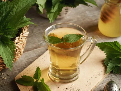 A cup of herbal tea with fresh stinging nettle leaves on a table / Foto: Madeleine_steinbach Getty Images