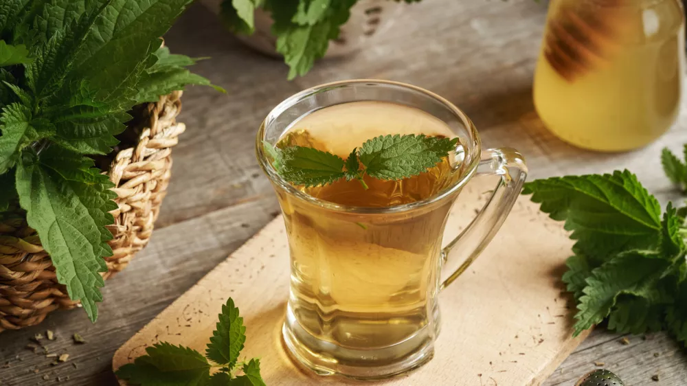 A cup of herbal tea with fresh stinging nettle leaves on a table / Foto: Madeleine_steinbach Getty Images
