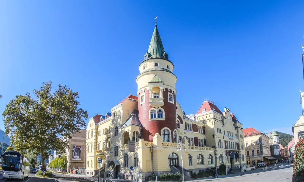 Celjski dom