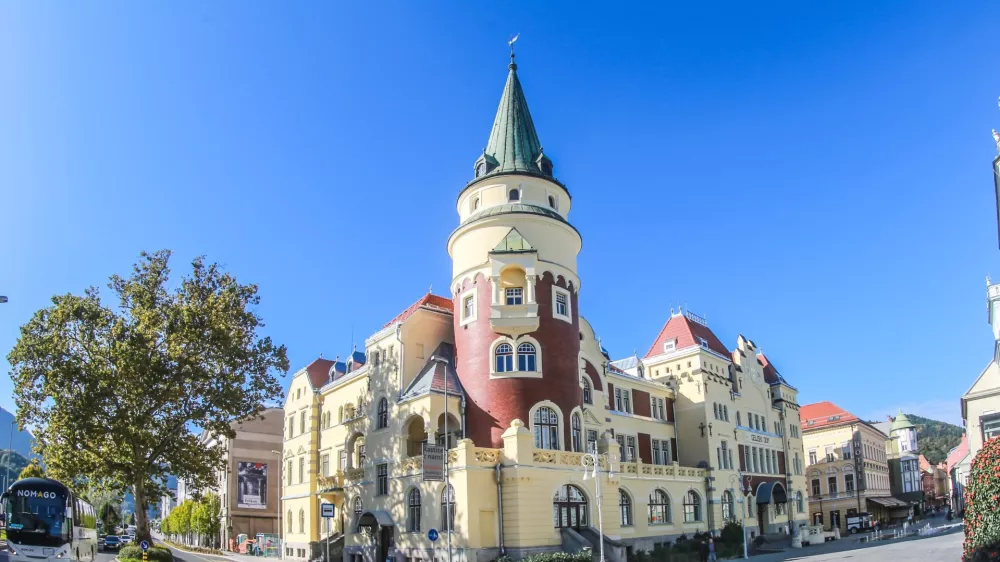 Celjski dom
