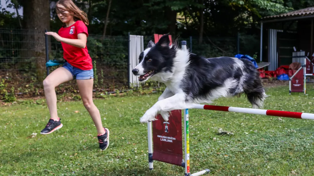 - 20.07.2026. - Nu&scaron;a in kuža Flash, dobitnika bronaste medalje na Mladinskem svetovnem prvenstvu v Meinheimu v agilityju.Agility. Kinolo&scaron;ko dru&scaron;tvo Ljubljana.//FOTO: Bojan Velikonja
