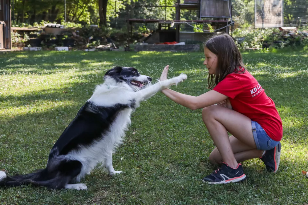 - 20.07.2026. - Nu&scaron;a in kuža Flash, dobitnika bronaste medalje na Mladinskem svetovnem prvenstvu v Meinheimu v agilityju.Agility. Kinolo&scaron;ko dru&scaron;tvo Ljubljana.//FOTO: Bojan Velikonja