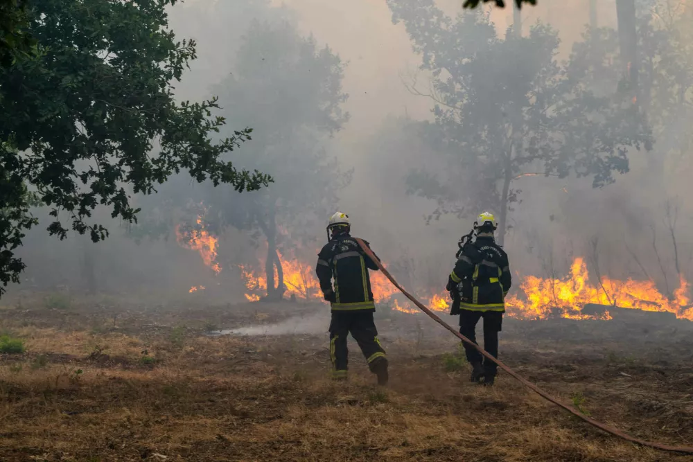 Fiirefighters spray water in a burning forest in the L&egrave;ge-Cap-Ferret region, western France, Friday, July 24, 2026. (AP Photo/Caroline Blumberg)