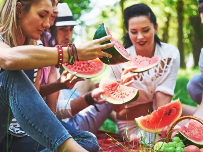 Group of friends having pic-nic in a park on a sunny day - People hanging out, having fun while grilling and relaxing. / Foto: Standret Getty Images
