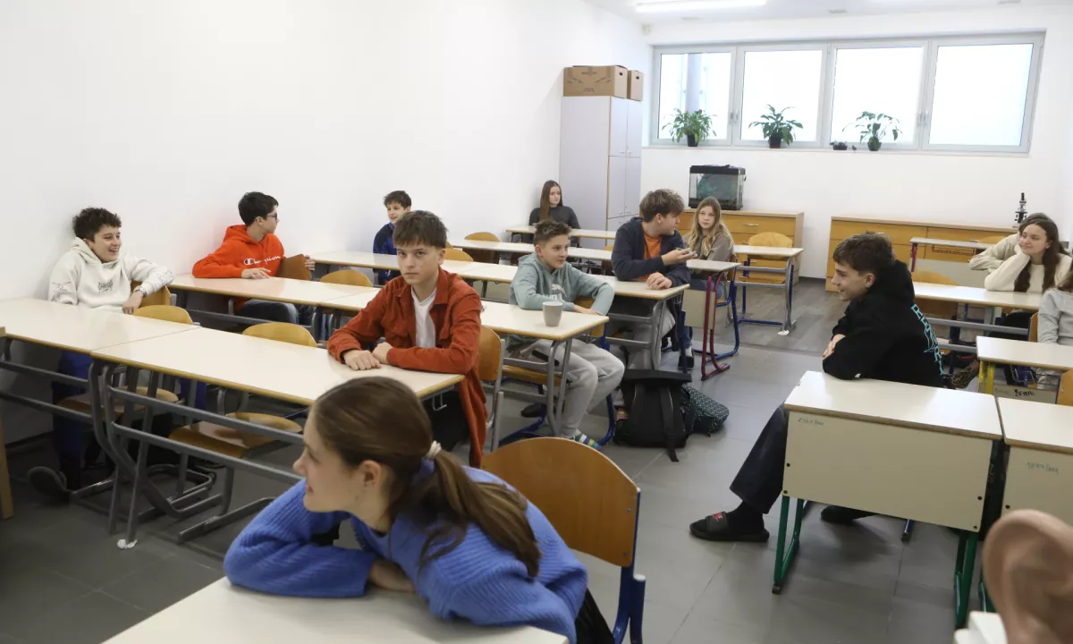 Šole pod pritiskom: Ključ do uspešnega vključevanja ali dodatna izolacija učencev?