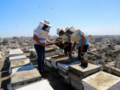 Hamas se je v Gazi pripravljen odreči orožju