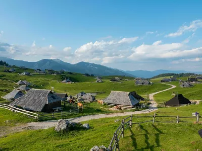 Grazing cows between charming wooden shepherds' huts on scenic mountain plateau. Breath-taking sight of tourist destination with authentic herdsmen's village in alpine landscape on sunny spring day.