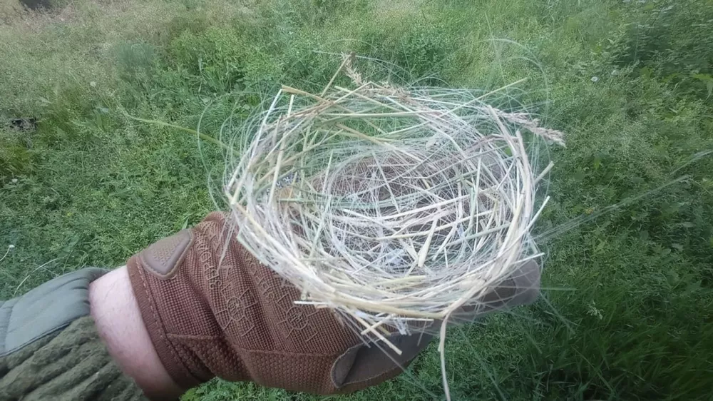 Birds use fiber-optic cables from killer drones to build nests in war-torn Donbas,Image: 1108913377, License: Rights-managed, Restrictions: ***HANDOUT image or SOCIAL MEDIA IMAGE or FILMSTILL for EDITORIAL USE ONLY! * Please note: Fees charged by Profimedia are for the Profimedia's services only, and do not, nor are they intended to, convey to the user any ownership of Copyright or License in the material. Profimedia does not claim any ownership including but not limited to Copyright or License in the attached material. By publishing this material you (the user) expressly agree to indemnify and to hold Profimedia and its directors, shareholders and employees harmless from any loss, claims, damages, demands, expenses (including legal fees), or any causes of action or allegation against Profimedia arising out of or connected in any way with publication of the material. Profimedia does not claim any copyright or license in the attached materials. Any downloading fees charged by Profimedia are for Profimedia's services only. * Handling Fee Only ***, Model Release: no 