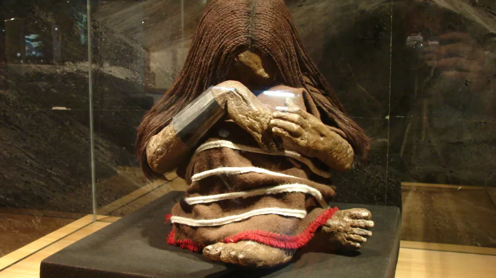 Replika mumije Plomo v Prirodoslovnem muzeju v Santiagu v Čilu. / Foto: Wikipedia