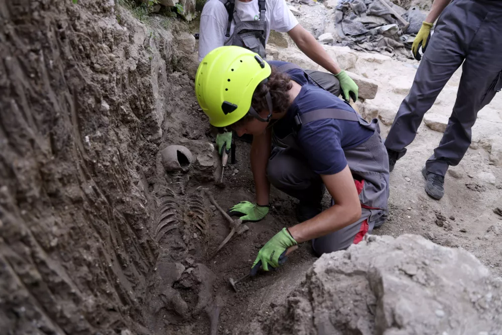 17.7.2026. - Pakrac, Hrvatska - Novo otkrice na groblju krizara, prema srednjovjekovnom vjerovanju skelet vampira. Skelet pokopan tijelom prema zemlji. Photo: Josip Mikacic/PIXSELL