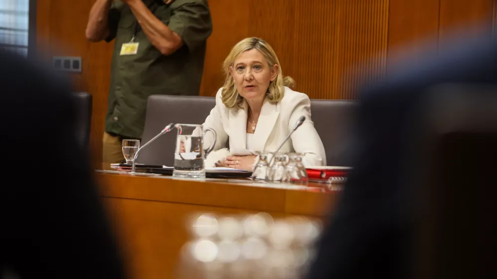 - Ignacija Fridl Jarc, kandidatka za ministrico za kulturo,- 01.06.2026. - Zasli&scaron;anja kandidatov za ministre 4. vleda Janeza Jan&scaron;e pred parlamentarnimi odbori v DZ RS.//FOTO: Bojan Velikonja
