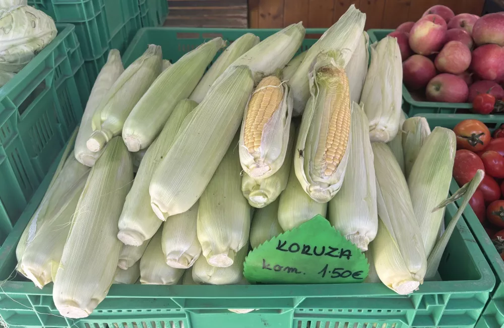 Sladka koruza, tržnica Koseze