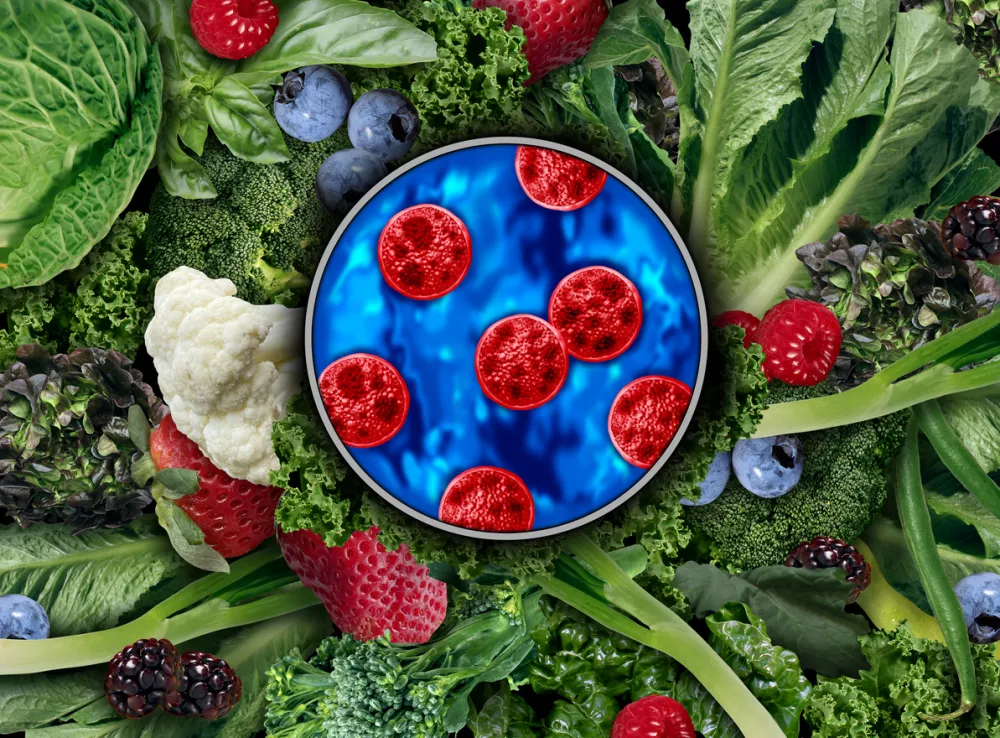 Cyclosporiasis on Produce as an outbreak and spread as a foodborne parasitic disease caused by Cyclospora cayetanensis through contaminated food as fruits and vegetables or water resulting in explosive watery diarrhea gastrointestinal infection and digestive illness. / Foto: Wildpixel Getty Images