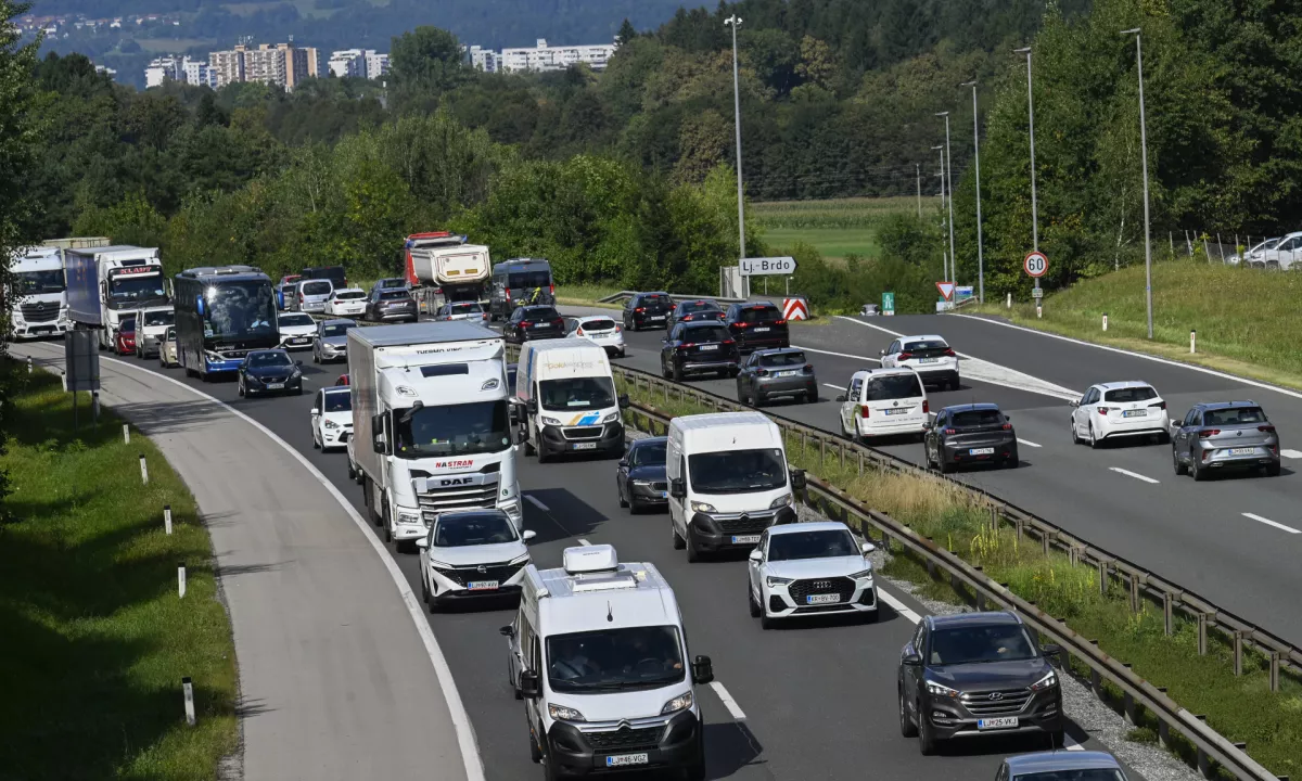 Jutranji zastoji proti Ljubljani, žival ovira promet na štajerski avtocesti