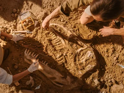 Paleontologi med delom. Tak&scaron;na izkopavanja so precej zahtevna ter zaradi vročine in okoli&scaron;čin tudi nevarna.