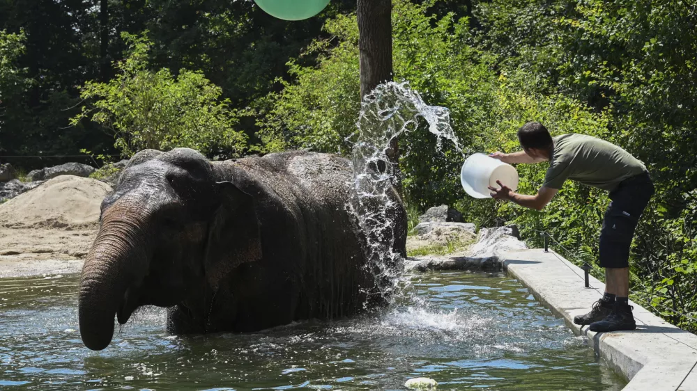 11.07.2024 - ZOO Živalski vrt LjubljanaFOTO: Nik Erik Neubauer