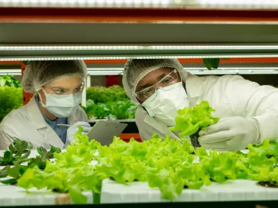 Young man in protective workwear holding sample of green lettuce seedling in small pot while his female colleague making notes