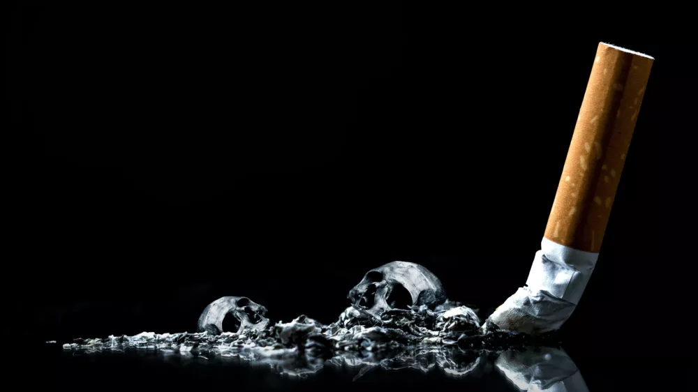 Cigarette ashes with skull.Tobacco cigarette butt on black background.World No Tobacco Day Concept Stop Smoking.