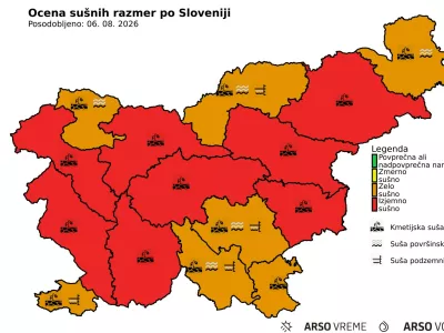 Su&scaron;a Arso
