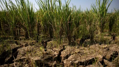 FILE PHOTO: Cracks appear on a paddy field in a drought-hit area during the dry season, amid forecasts that El Ni&ntilde;o may contribute to drier-than-normal conditions, in Rido Galuh village, Bekasi regency, Indonesia, July 16, 2026. REUTERS/Willy Kurniawan/File Photo