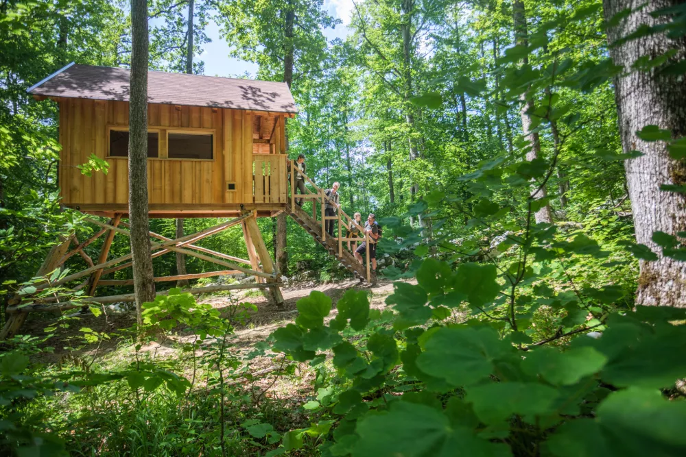 Opazovanje poteka v posebni medvedji hi&scaron;i. Foto: Jo&scaron;t Gantar / Kočevsko 
